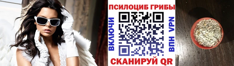 mega ССЫЛКА  Богучар  Галлюциногенные грибы мухоморы  где купить наркоту 